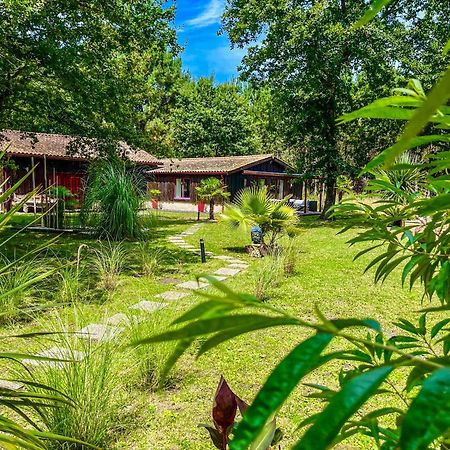 Hacienda De La Canopee Avec Piscine Chauffee Au Sel Hourtin Εξωτερικό φωτογραφία
