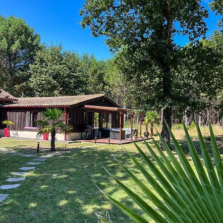 Hacienda De La Canopee Avec Piscine Chauffee Au Sel Hourtin Εξωτερικό φωτογραφία