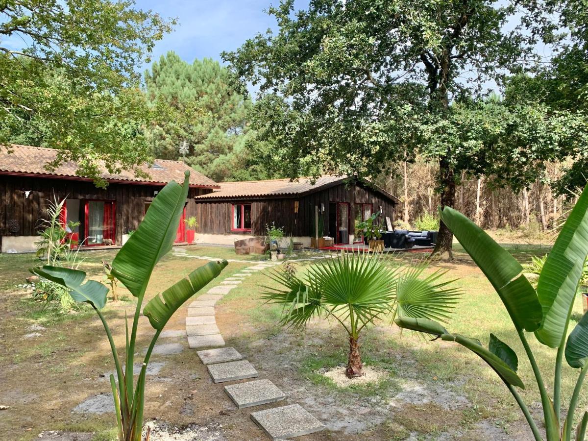 Hacienda De La Canopee Avec Piscine Chauffee Au Sel Hourtin Εξωτερικό φωτογραφία