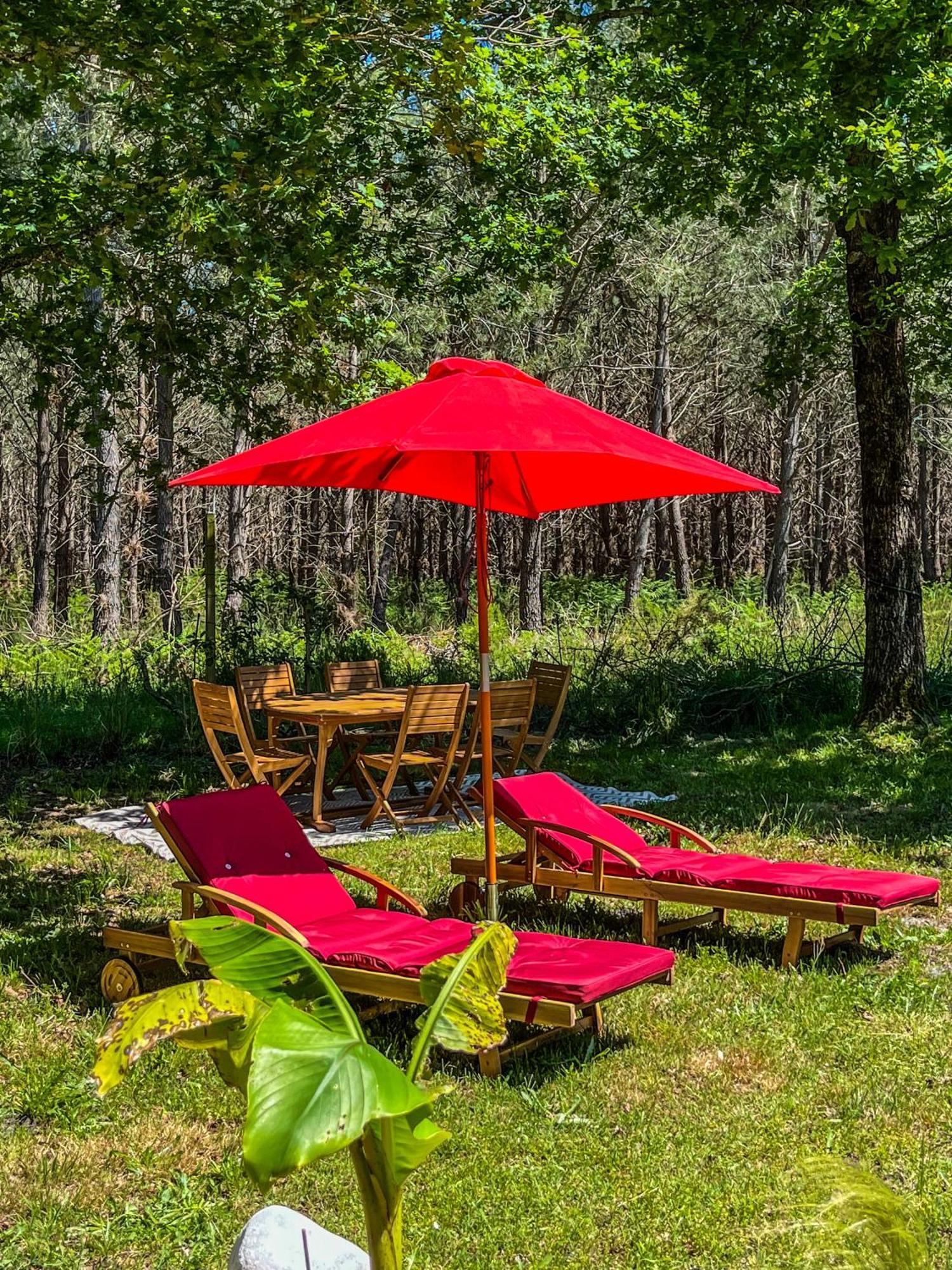 Hacienda De La Canopee Avec Piscine Chauffee Au Sel Hourtin Εξωτερικό φωτογραφία