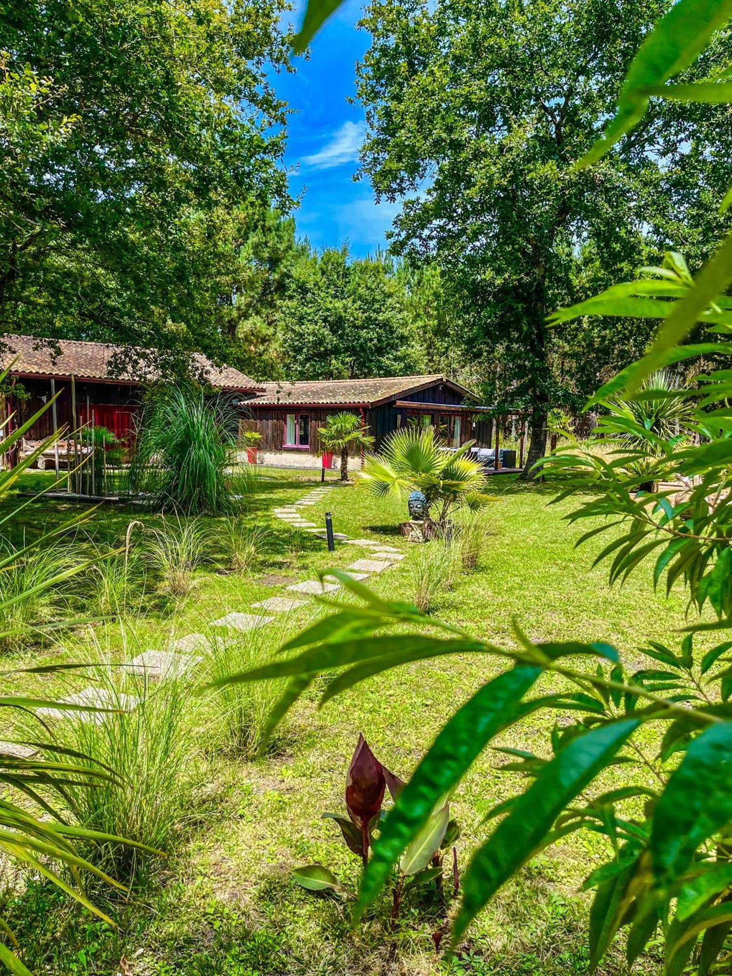 Hacienda De La Canopee Avec Piscine Chauffee Au Sel Hourtin Εξωτερικό φωτογραφία